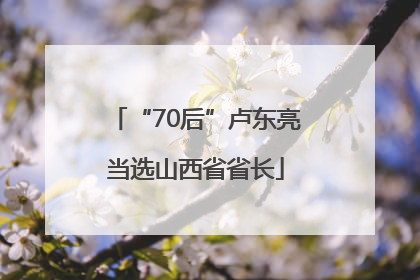“70后”卢东亮当选山西省省长