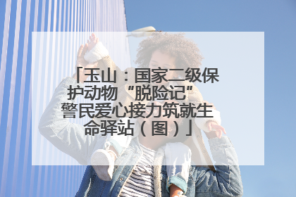 玉山：国家二级保护动物“脱险记” 警民爱心接力筑就生命驿站（图）