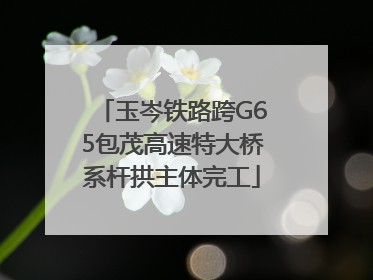 玉岑铁路跨G65包茂高速特大桥系杆拱主体完工