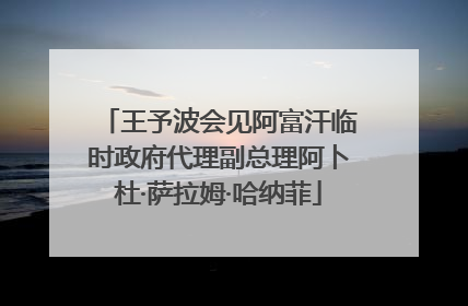 王予波会见阿富汗临时政府代理副总理阿卜杜·萨拉姆·哈纳菲