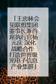 王忠林会见联想集团董事长兼首席执行官杨元庆 深化战略合作 打造世界级光电子信息产业集群