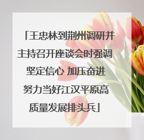 王忠林到荆州调研并主持召开座谈会时强调 坚定信心 加压奋进 努力当好江汉平原高质量发展排头兵