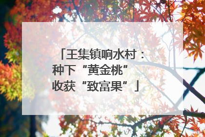 王集镇响水村：种下“黄金桃” 收获“致富果”