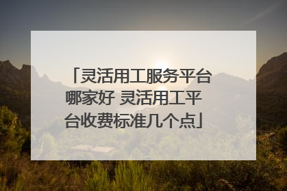灵活用工服务平台哪家好 灵活用工平台收费标准几个点