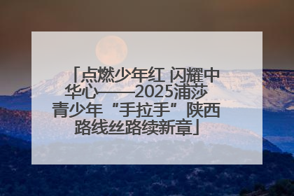 点燃少年红 闪耀中华心——2025浦莎青少年“手拉手”陕西路线丝路续新章