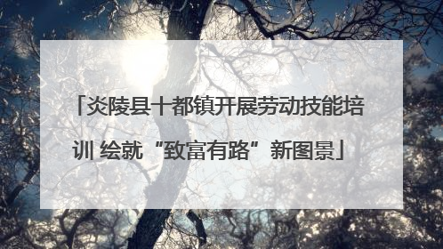 炎陵县十都镇开展劳动技能培训 绘就“致富有路”新图景