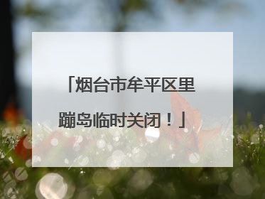 烟台市牟平区里蹦岛临时关闭！