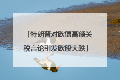 特朗普对欧盟高额关税言论引发欧股大跌
