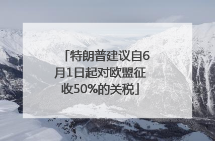 特朗普建议自6月1日起对欧盟征收50%的关税