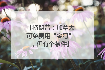 特朗普：加拿大可免费用“金穹”，但有个条件
