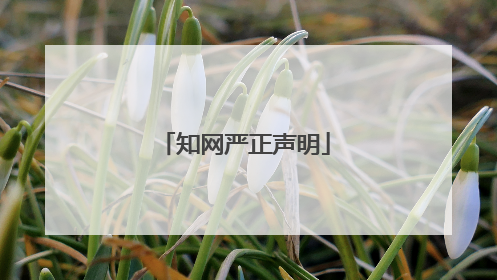 知网严正声明