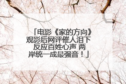 电影《家的方向》观影后网评催人泪下 反应百姓心声 两岸统一成最强音！