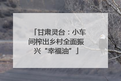 甘肃灵台：小车间榨出乡村全面振兴“幸福油”