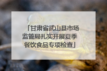 甘肃省武山县市场监管局扎实开展夏季餐饮食品专项检查