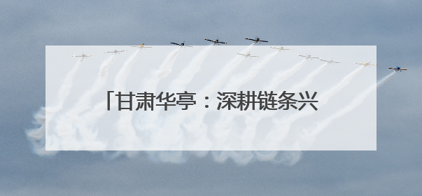 甘肃华亭：深耕链条兴产业 逐梦沃野绘新景