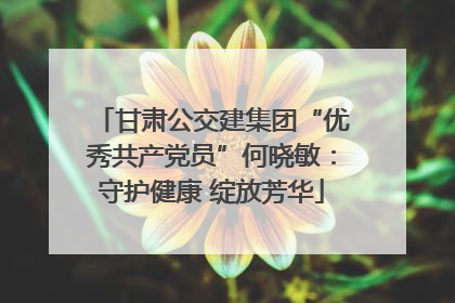 甘肃公交建集团“优秀共产党员”何晓敏：守护健康 绽放芳华