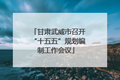 甘肃武威市召开“十五五”规划编制工作会议