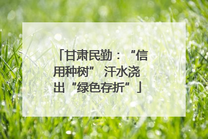甘肃民勤：“信用种树” 汗水浇出“绿色存折”