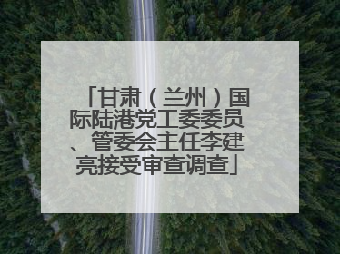 甘肃（兰州）国际陆港党工委委员、管委会主任李建亮接受审查调查