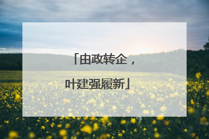 由政转企，叶建强履新
