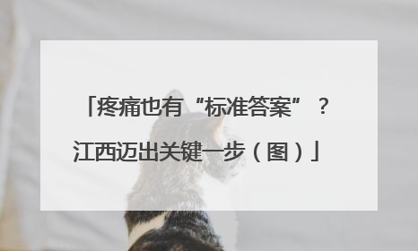 疼痛也有“标准答案”？江西迈出关键一步（图）
