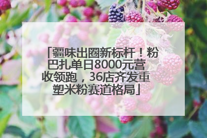 疆味出圈新标杆！粉巴扎单日8000元营收领跑，36店齐发重塑米粉赛道格局