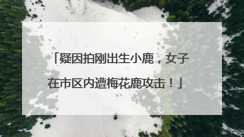 疑因拍刚出生小鹿，女子在市区内遭梅花鹿攻击！