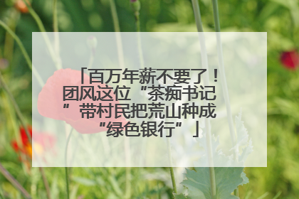 百万年薪不要了！团风这位“茶痴书记”带村民把荒山种成“绿色银行”