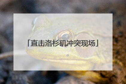 直击洛杉矶冲突现场