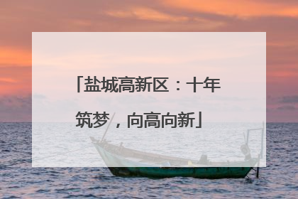 盐城高新区：十年筑梦，向高向新