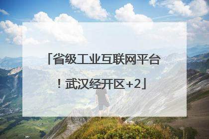 省级工业互联网平台！武汉经开区+2