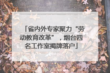 省内外专家聚力“劳动教育改革”，烟台四名工作室揭牌落户