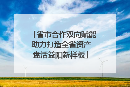 省市合作双向赋能 助力打造全省资产盘活益阳新样板