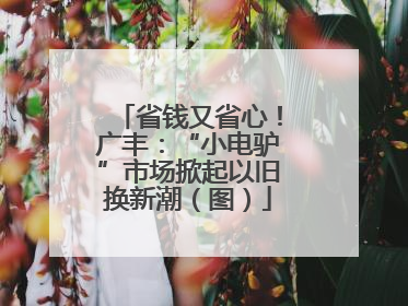 省钱又省心！广丰：“小电驴”市场掀起以旧换新潮（图）