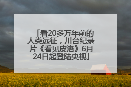 看20多万年前的人类远征，川台纪录片《看见皮洛》6月24日起登陆央视