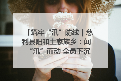 筑牢“汛”防线｜慈利县阳和土家族乡：闻“汛”而动 全员下沉筑牢防汛“安全堤”