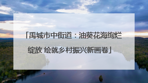 禹城市中街道：油葵花海绚烂绽放 绘就乡村振兴新画卷
