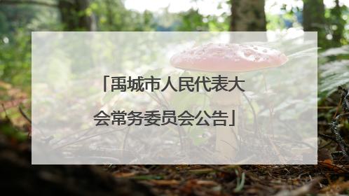 禹城市人民代表大会常务委员会公告