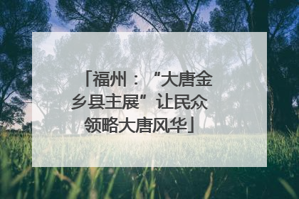 福州：“大唐金乡县主展”让民众领略大唐风华