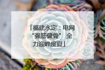 福建永定：电网“强筋健骨” 全力迎峰度夏