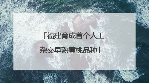 福建育成首个人工杂交早熟黄桃品种