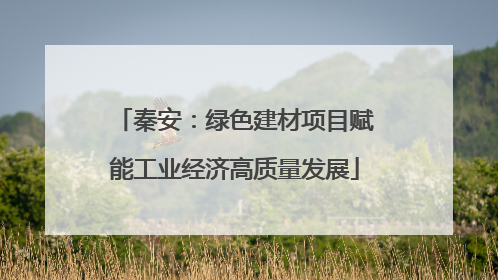 秦安：绿色建材项目赋能工业经济高质量发展