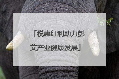 税惠红利助力彭艾产业健康发展