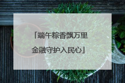 端午粽香飘万里 金融守护入民心