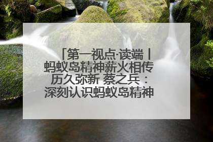 第一视点·读端丨蚂蚁岛精神薪火相传历久弥新 蔡之兵：深刻认识蚂蚁岛精神的“精气神”