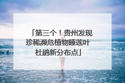 第三个！贵州发现珍稀濒危植物睡莲叶杜鹃新分布点