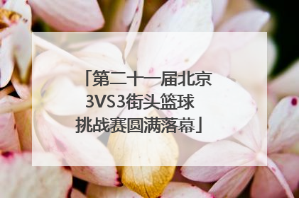 第二十一届北京3VS3街头篮球挑战赛圆满落幕