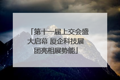 第十一届上交会盛大启幕 厦企科技展团亮相展势能