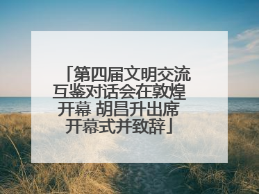 第四届文明交流互鉴对话会在敦煌开幕 胡昌升出席开幕式并致辞