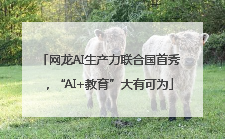 网龙AI生产力联合国首秀，“AI+教育”大有可为